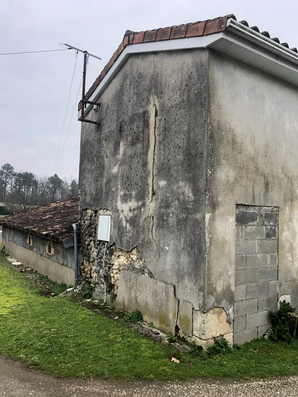 Before image alt